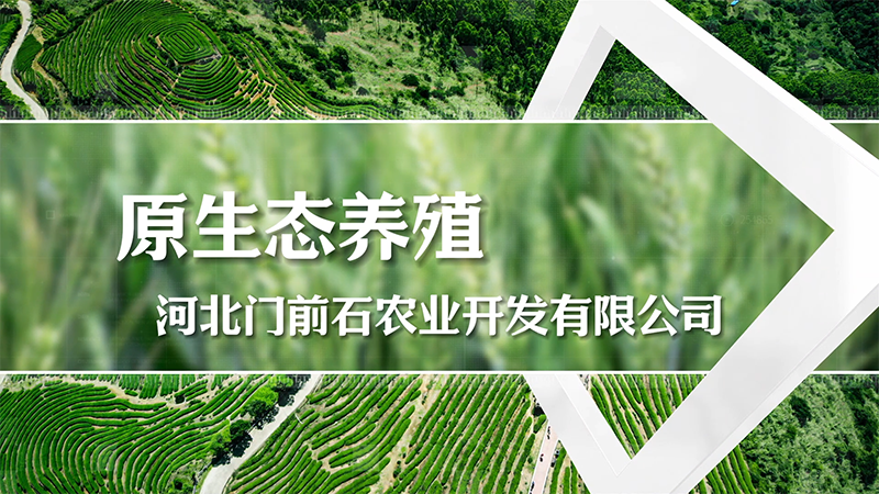 12月28日(12).png